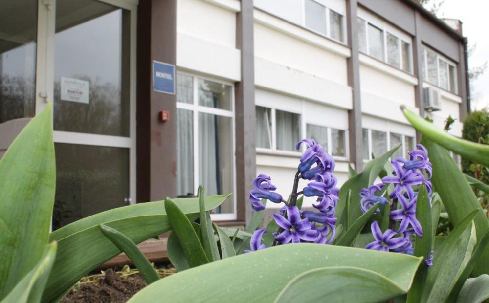 Hostel Rakitje-Rakitje Exterior photo